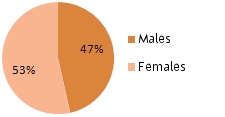 Pie Chart - Genders